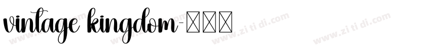 vintage kingdom字体转换